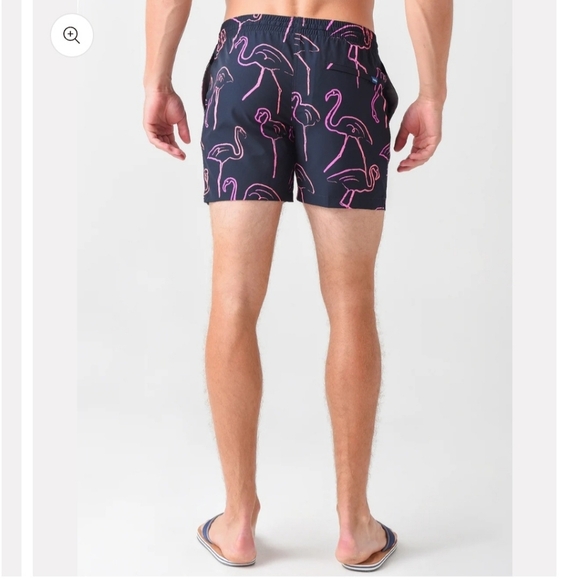 CHUBBIES "THE FUNSET BOULEVARDS" SWIM TRUNKS. 5.5" INSEAM. FLAMINGOS. SIZE LARGE - Picture 3 of 12